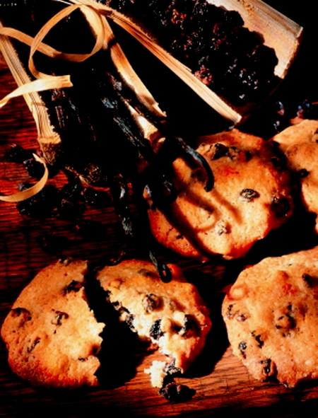 cookies-coco-choco_