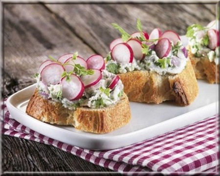 tartine_terroir