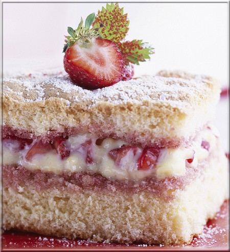 biscuit_de_savoie_aux_fraises
