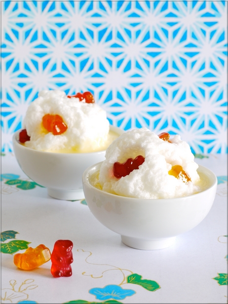 ile_flottante_de_nounours_