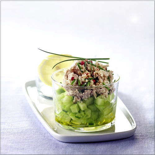rillettes_de_thon_sur_lit_de_concombre_