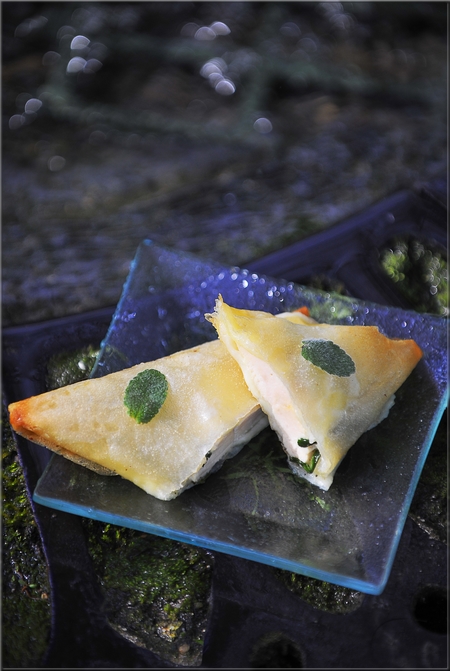 coustil_de_poulet_a_la_tapenade_verte_et_noisette_fondue_de_mozzarella_