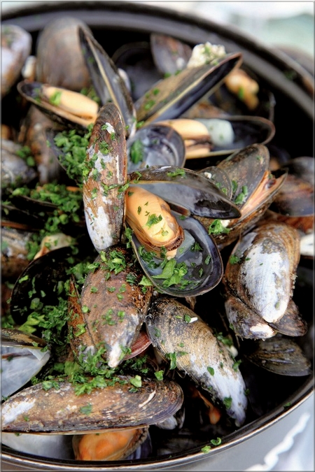 moules_a_la_mayonnaise_d_echalotes_