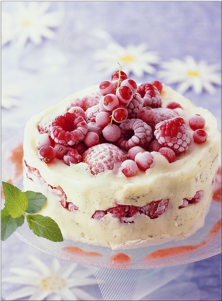 vacherin_glace_aux_fruits_rouges_