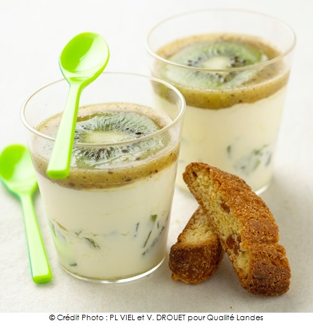 mousse_de_kiwi_de_l_adour_au_chocolat_blanc_