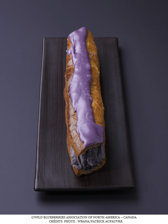 eclair_myrtilles_sauvages_canada