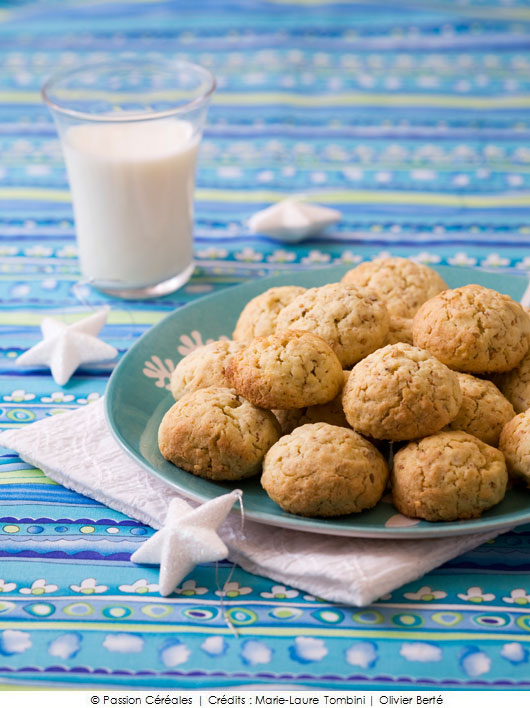 rochers_flocons_avoine