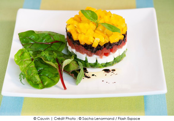 salade_mediterraneenne_facon_tartare_et_son_mesclun