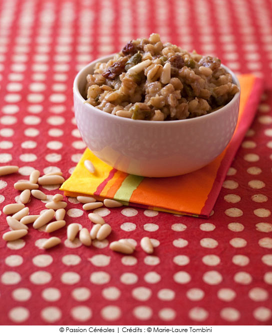 mijote_orge_courgettes_pignons_raisins_secs