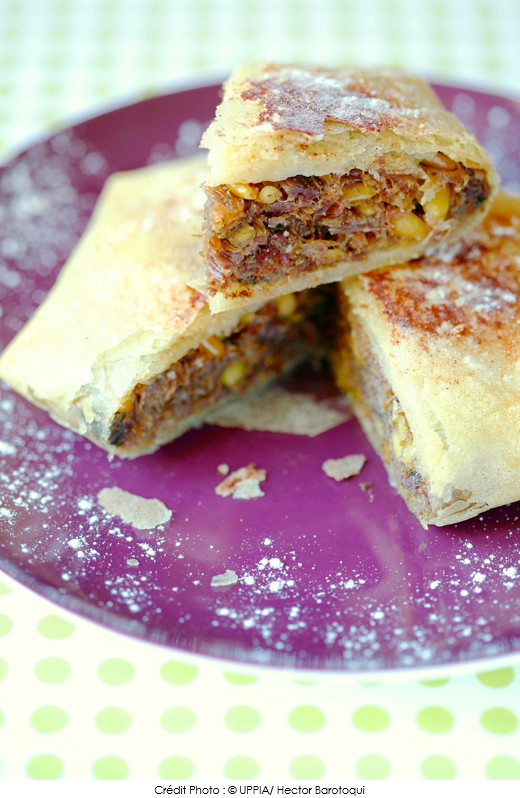 pastilla_de_canard
