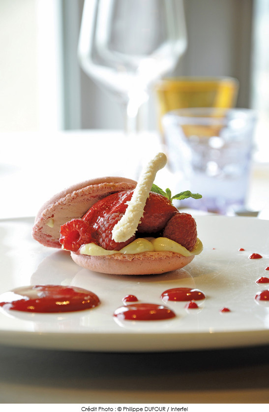 macaron_framboise_creme_mousseline_vanille_et_sorbet_framboise