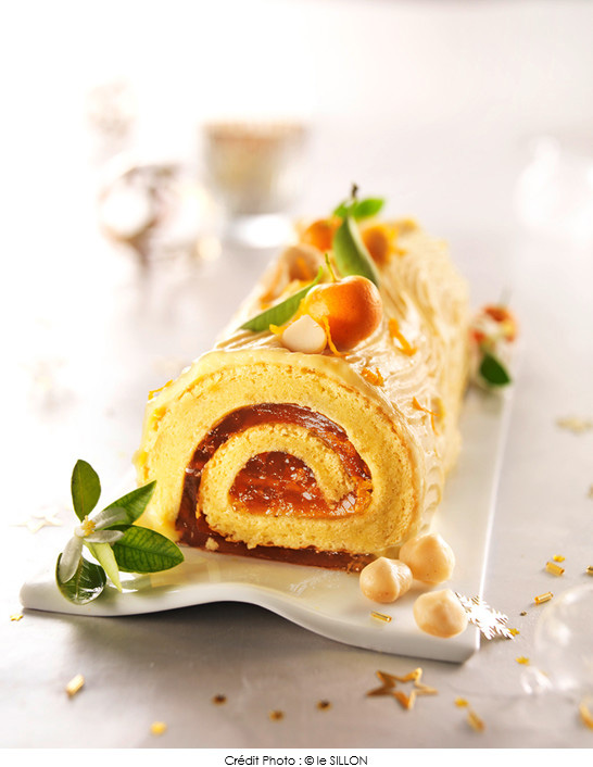 buche_de_noel_a_la_mandarine_et_noix_de_macadamia