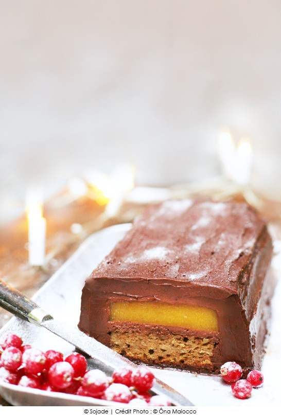 buche_de_noel_chocolat_mangue