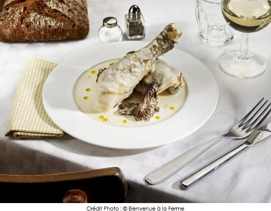 poulet_au_vin_jaune_et_aux_morilles