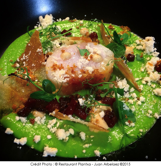 lieu_jaune_petit_pois_et_chorizo
