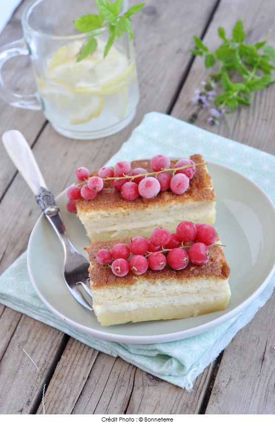 gateau_magique_au_citron_et_lait_d_avoine_bonneterre