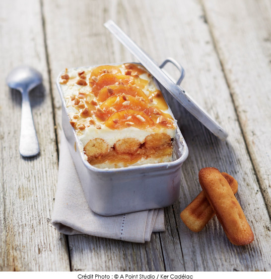 le_tiramisu_facon_tatin