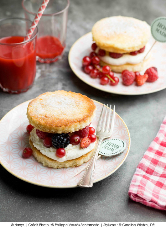 petits-sandwichs-gourmands-de-brioche-tranchee-light-harrys-aux-fruits-rouges