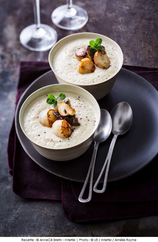 creme-d-endive-aux-noix-de-st-jacques-et-aux-champignons