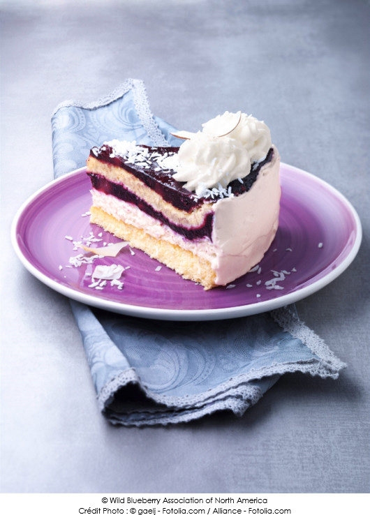 bavarois-a-la-noix-de-coco-et-aux-myrtilles