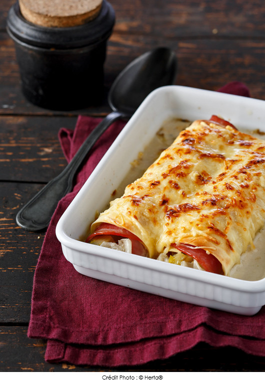 cannellonis-aux-endives-et-au-jambon