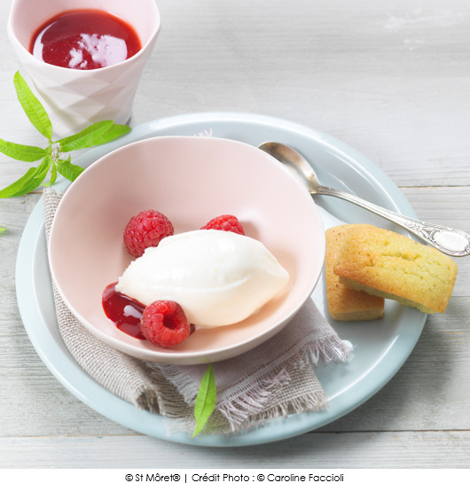 glace-de-st-moret-framboises-et-financiers