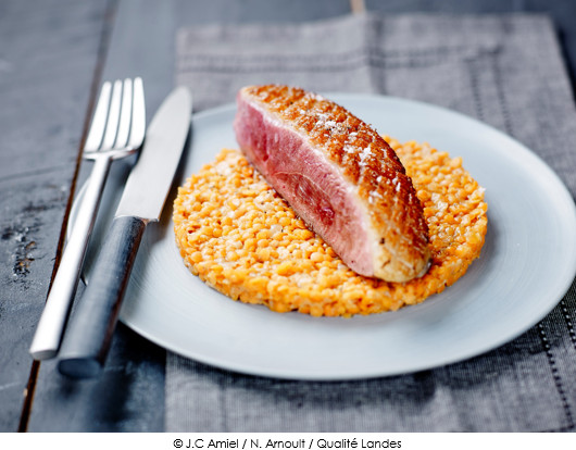 magret-de-canard-fermier-des-landes-fume-au-foin-lentilles-corail-comme-un-risotto