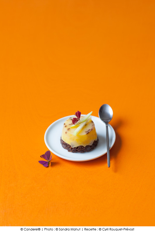 tatin-pomme-poire-sur-biscuit-chocolat