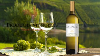 Producta Vignobles La Peyrière 2019