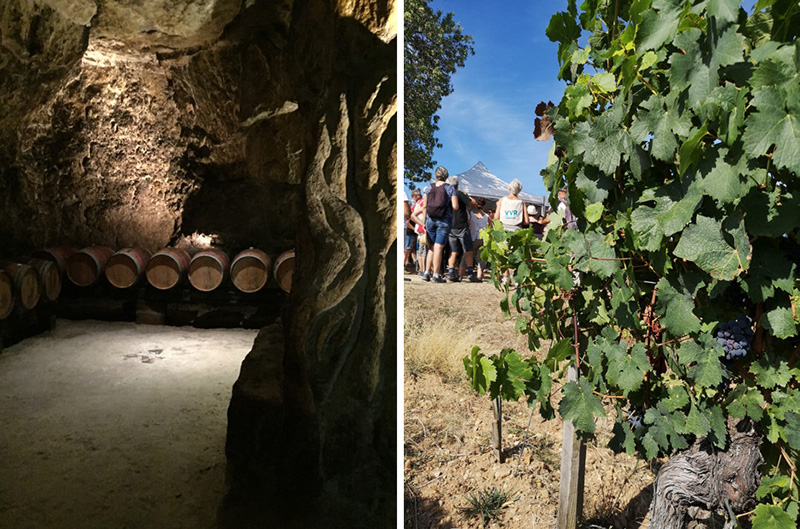 Chinon Ce week-end, j’ai vigneron