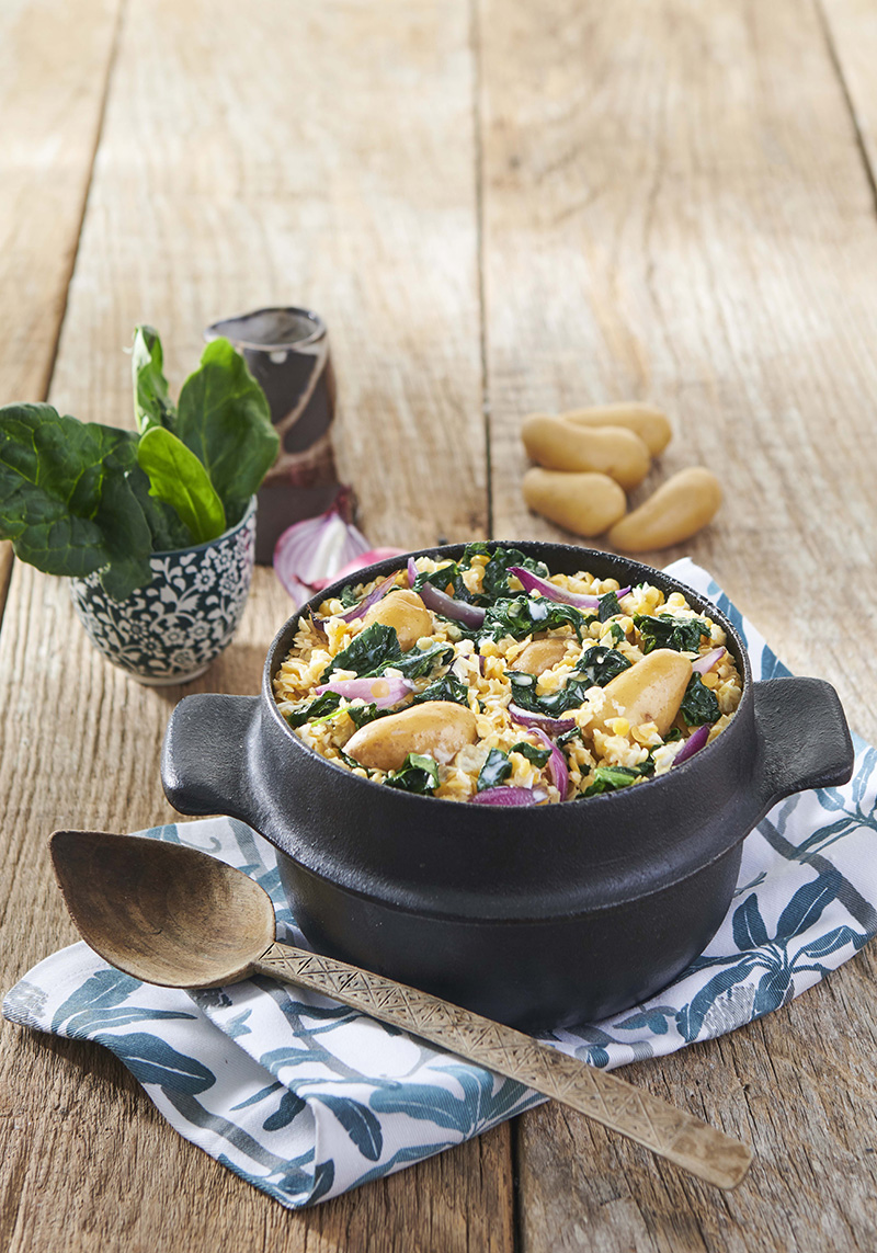 Dahl coco-corail Ratte du Touquet