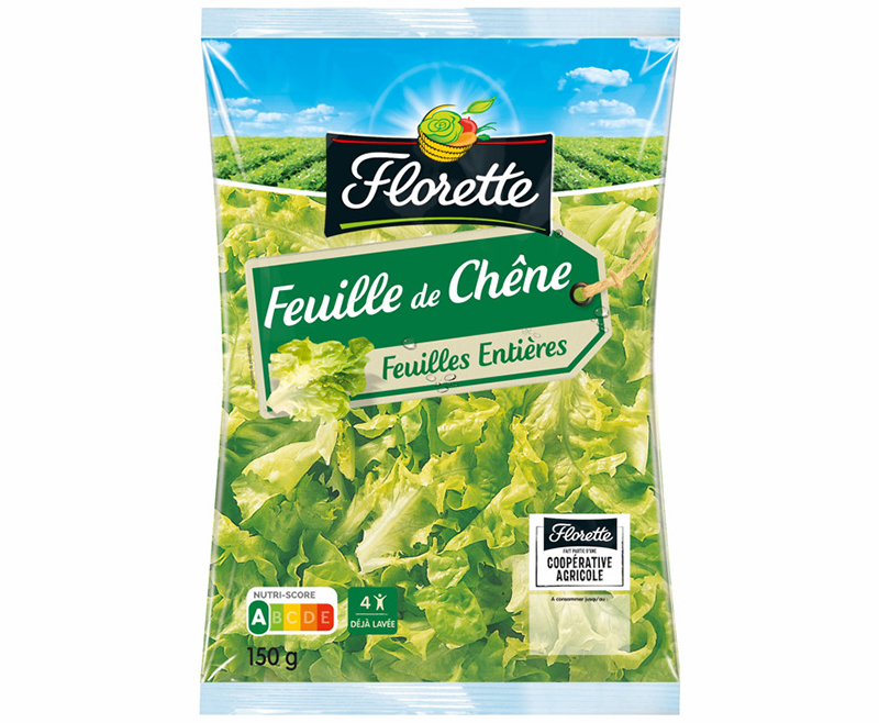 Feuille de chêne verte Florette