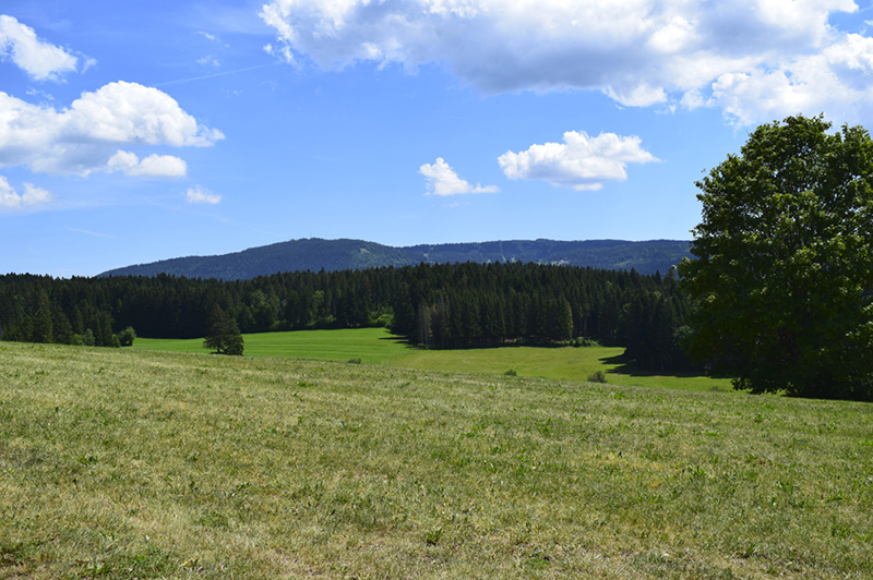 Labergement vue 