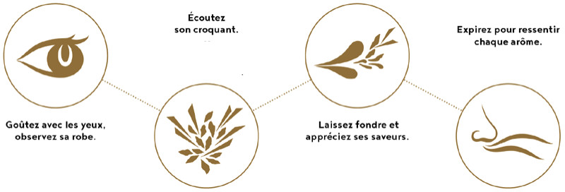 Dégustation Valrhona 
