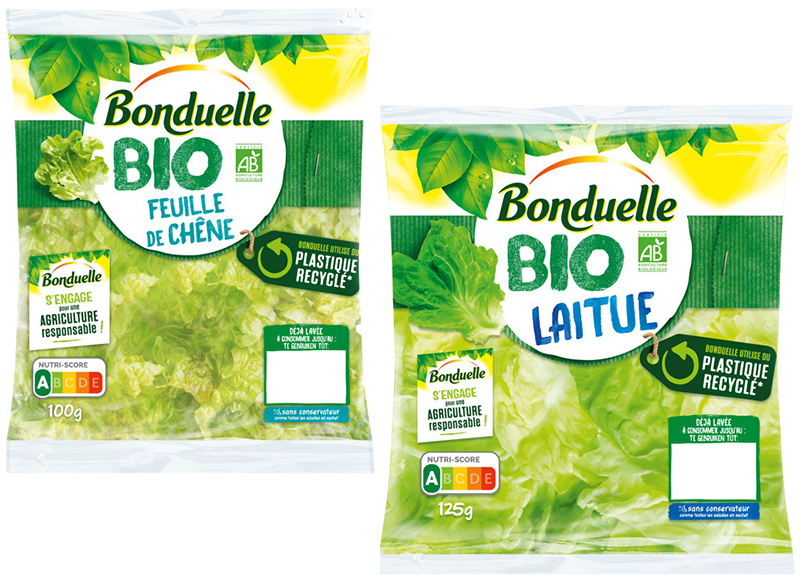 Feuille de chêne - Laitue BIO 