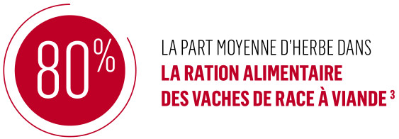 Part moyenne herbes