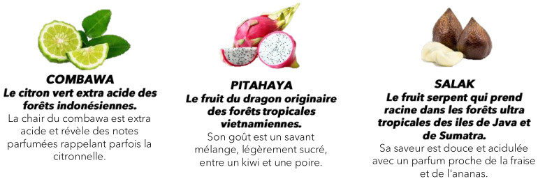 Têtes Brûlées JUNGLE BARRES
