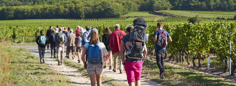 Vignes, Vins, Randos 2021 