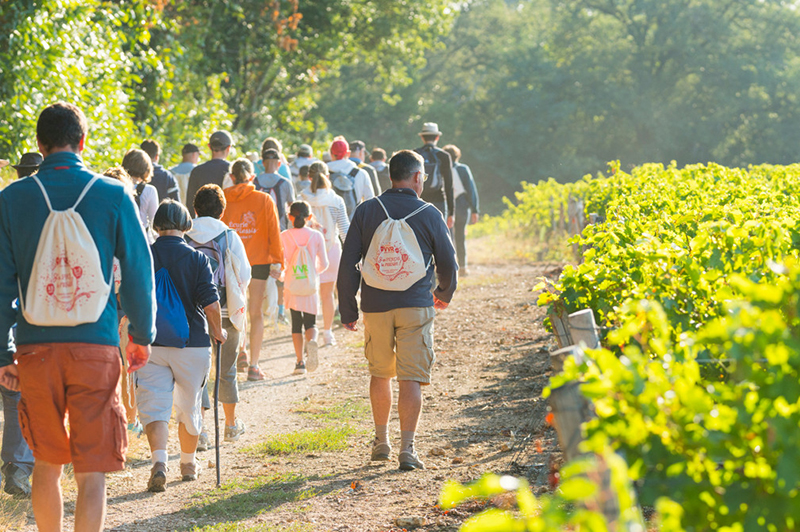 Vignes, Vins, Randos 2021 
