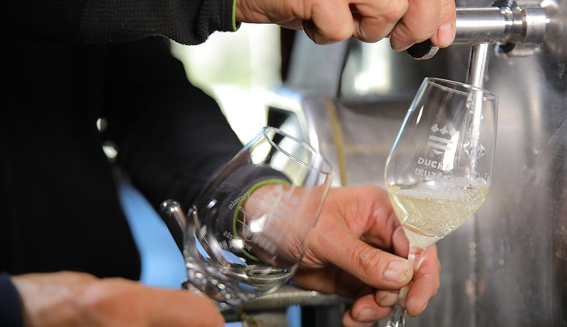 Les vins blancs Domaine Saint Firmin 