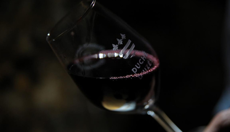 Les vins rouges Domaine Saint Firmin 