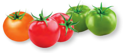 MUTTI Tomates rouges, vertes, oranges 