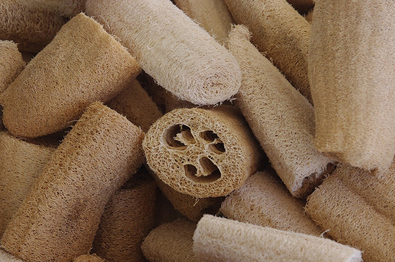 Éponge de luffa