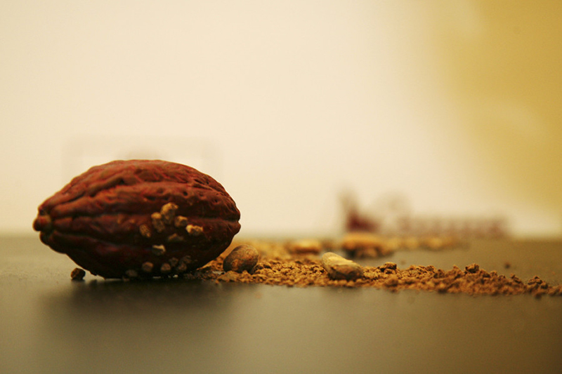Salon du Chocolat