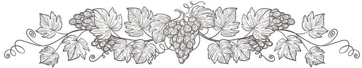 Branche de raisins