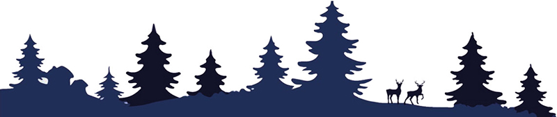 CÉMOI 2021 Header Noël 