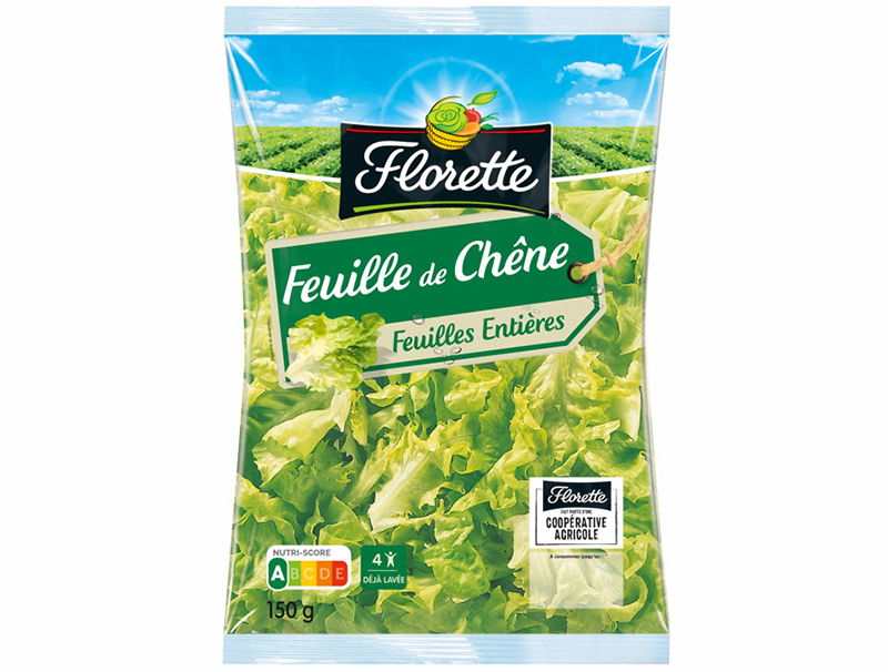 Florette Feuille de chêne 