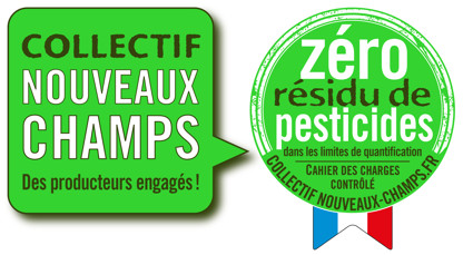 Collectif Nouveaux Champs