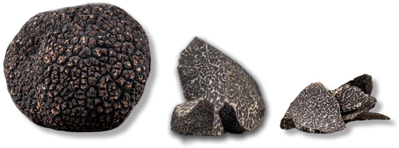 PLANTIN, Truffe noire fraîche