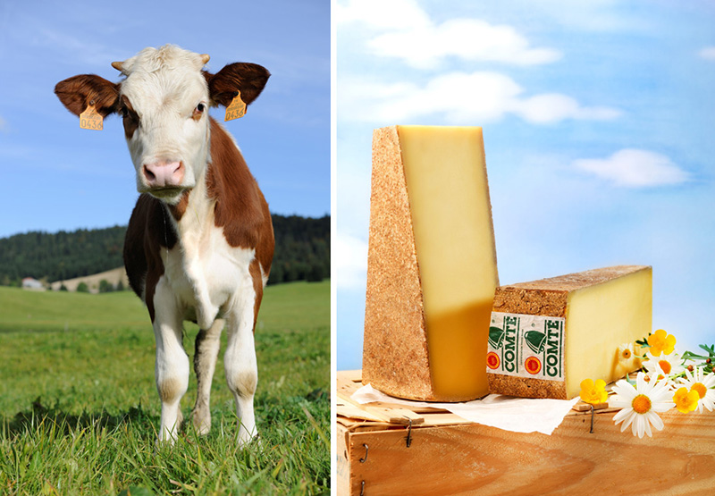 Les rendez-vous du Comté
